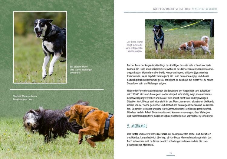 Produktbild: Das Hundesprachbuch