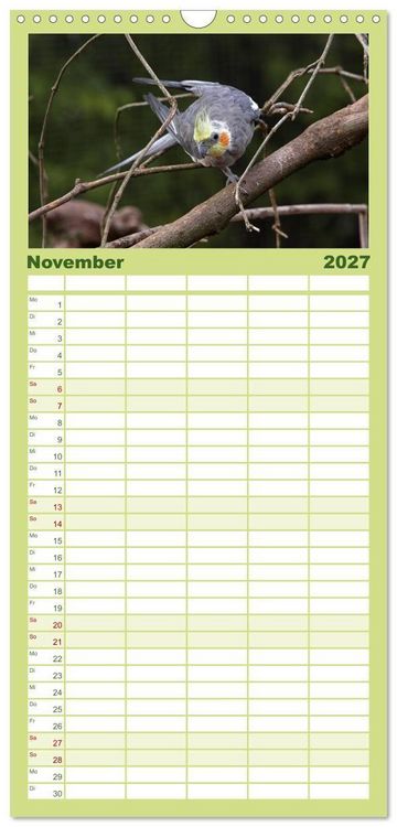 Produktbild: Familienplaner 2027 - Nymphensittiche mit 5 Spalten (Wandkalender, 21 x 45 cm) CALVENDO