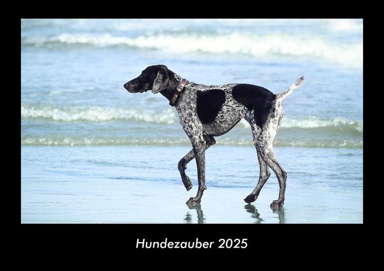 Produktbild: Hundezauber 2025 Fotokalender DIN A3