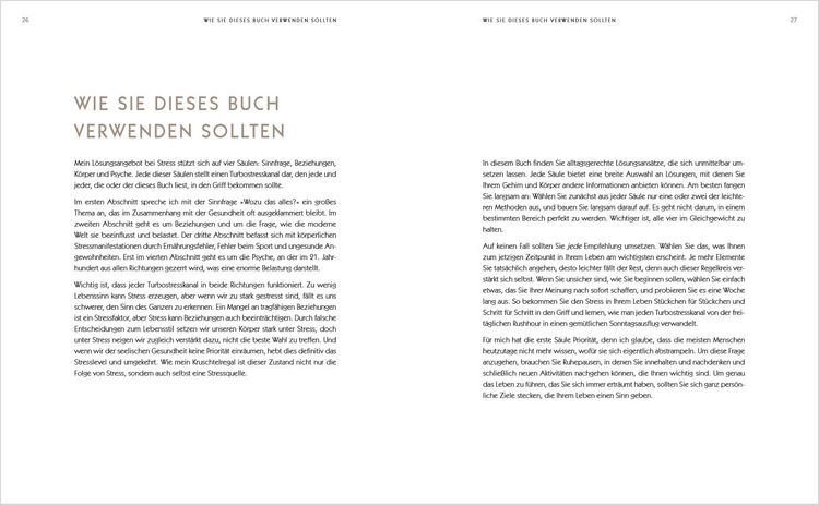 Produktbild: Der Anti-Stress-Plan