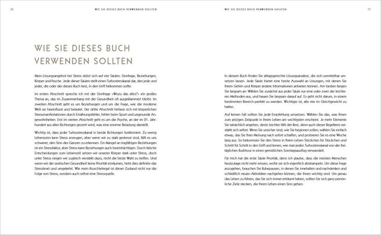 Produktbild: Der Anti-Stress-Plan