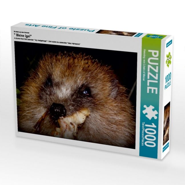 Produktbild: CALVENDO Puzzle Ein Motiv aus dem Kalender " Meine Igel" | 1000 Teile Lege-Gr&ouml;&szlig;e 64x48cm Foto-Puzzle f&uuml;r gl&uuml;ckliche Stunden