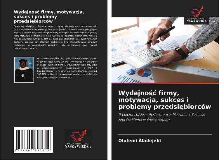 Produktbild: Wydajno&iquest;&iquest; firmy, motywacja, sukces i problemy przedsi&iquest;biorc&oacute;w