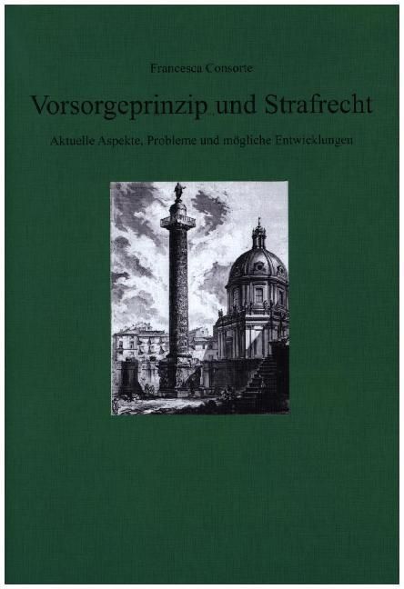 Produktbild: Consorte, F: Vorsorgeprinzip und Strafrecht