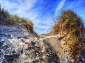Produktbild: CALVENDO Puzzle Nordsee-D&uuml;nen | 1000 Teile Lege-Gr&ouml;&szlig;e 64x48cm Foto-Puzzle f&uuml;r gl&uuml;ckliche Stunden