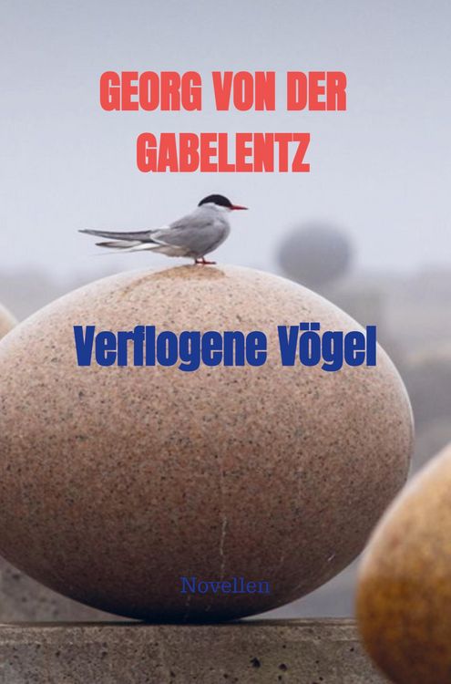 Produktbild: Verflogene V&ouml;gel