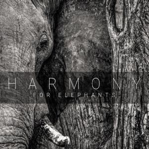Produktbild: Harmony for Elephants ~ a Charity Album