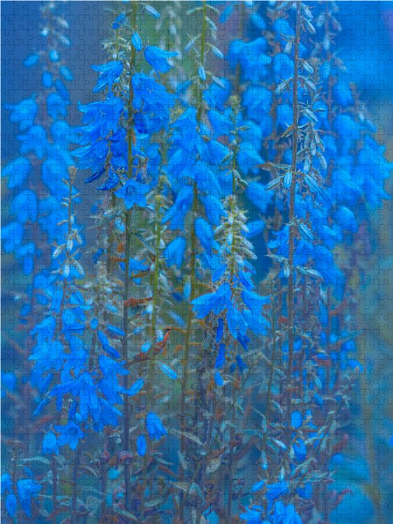 Produktbild: CALVENDO Puzzle Glockenblumen 1000 Teile Lege-Gr&ouml;&szlig;e 48 x 64 cm Foto-Puzzle Bild von Ulrike Adam