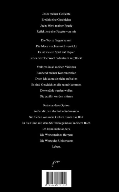Produktbild: Die Sonne in der Nacht