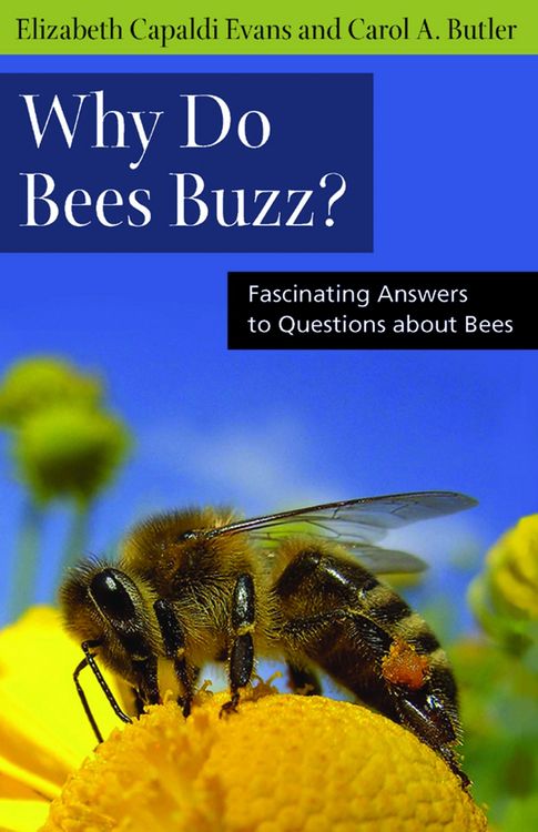 Produktbild: Why Do Bees Buzz?