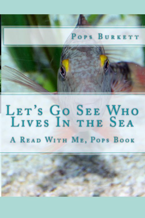 Produktbild: Let's Go See Who Lives In the Sea!