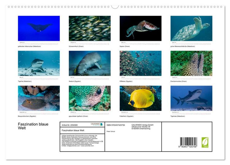 Produktbild: Faszination blaue Welt (hochwertiger Premium Wandkalender 2026 DIN A2 quer), Kunstdruck in Hochglanz