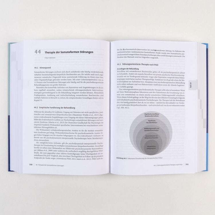 Produktbild: Psychodynamische Psychotherapie in der Praxis