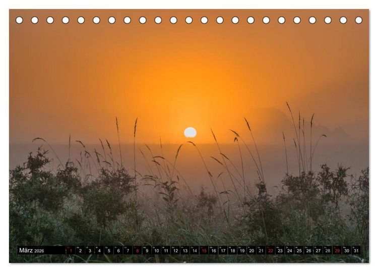 Produktbild: Immer wieder Sonnenschein (Tischkalender 2026 DIN A5 quer), CALVENDO Monatskalender
