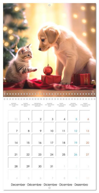 Produktbild: Mignon duo (Calendrier mural carr&eacute; 2026 30x30 cm) Calendrier double avec une page pour vos prises de notes
