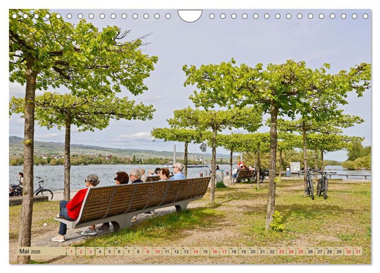 Produktbild: Ingelheim - Rotweinstadt am Rhein (Wandkalender 2026 DIN A4 quer), CALVENDO Monatskalender
