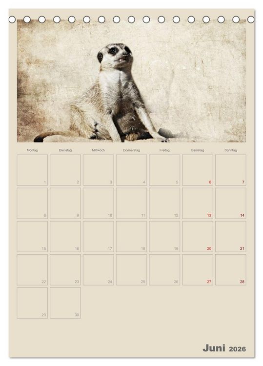 Produktbild: Lustige Erdm&auml;nnchen (Tischkalender 2026 DIN A5 hoch), CALVENDO Monatskalender