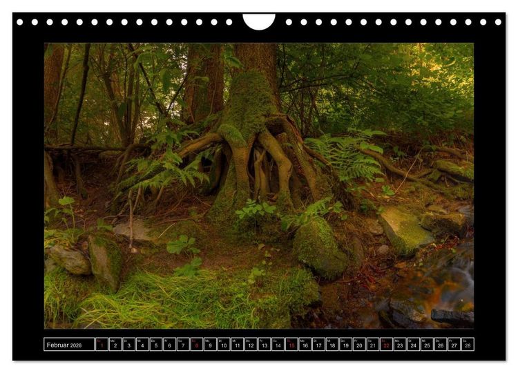 Produktbild: Annaberg im Erzgebirge (Wandkalender 2026 DIN A4 quer), CALVENDO Monatskalender