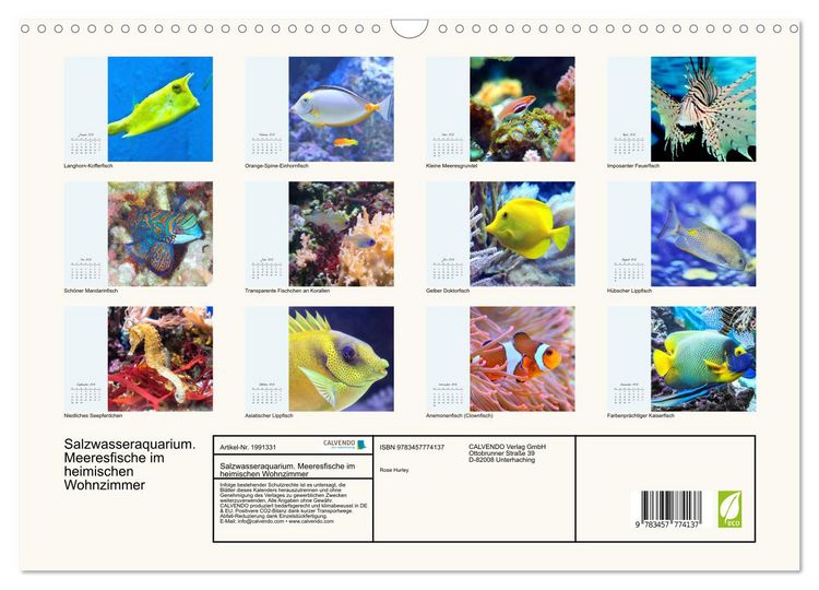 Produktbild: Salzwasseraquarium. Meeresfische im heimischen Wohnzimmer (Wandkalender 2026 DIN A3 quer), CALVENDO Monatskalender