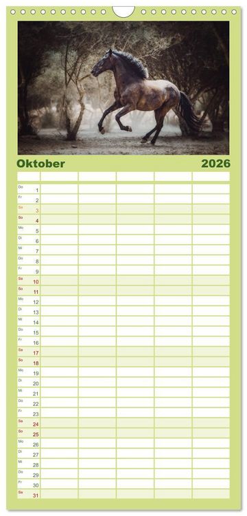Produktbild: Familienplaner 2026 - Die Faszinierende Welt der Pferde mit 5 Spalten (Wandkalender, 21 x 45 cm) CALVENDO
