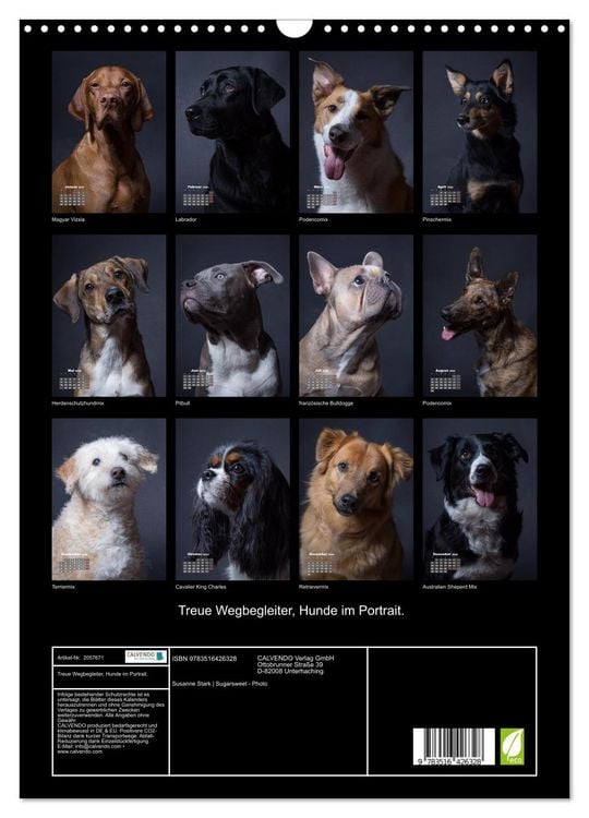 Produktbild: Treue Wegbegleiter, Hunde im Portrait. (Wandkalender 2026 DIN A3 hoch), CALVENDO Monatskalender