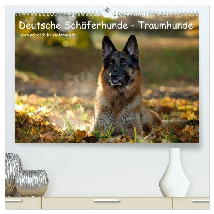 Produktbild: Deutsche Sch&auml;ferhunde - Traumhunde (hochwertiger Premium Wandkalender 2026 DIN A2 quer), Kunstdruck in Hochglanz