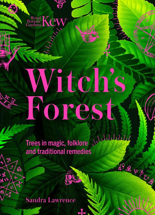 Produktbild: Witch's Forest