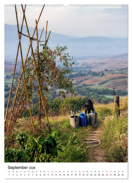 Produktbild: Italien - Pur (Wandkalender 2026 DIN A2 hoch), CALVENDO Monatskalender