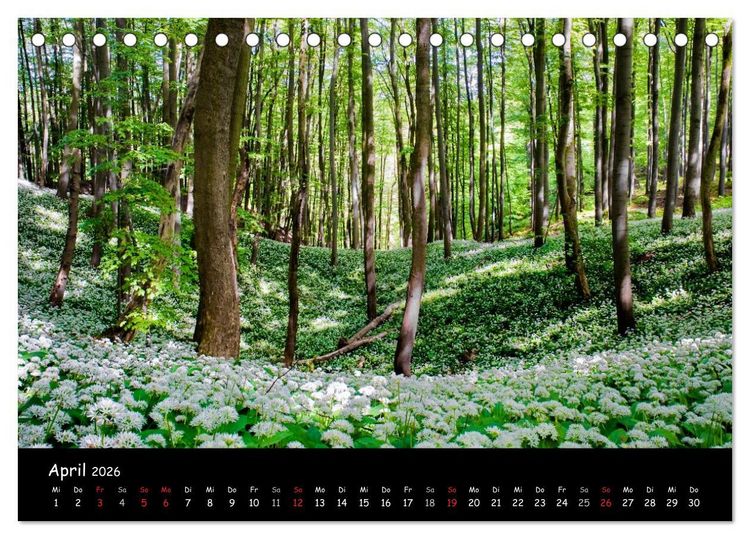 Produktbild: Faszination Harz 2026 (Tischkalender 2026 DIN A5 quer), CALVENDO Monatskalender