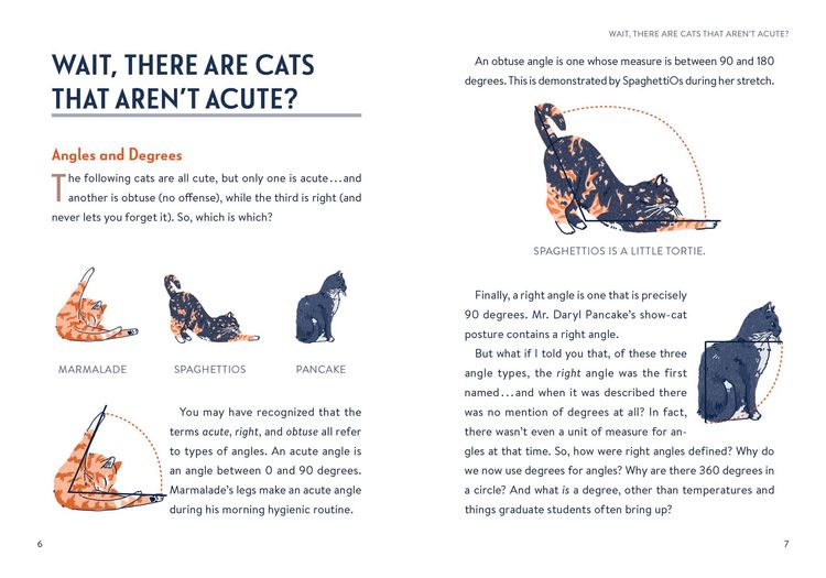 Produktbild: Math Cats