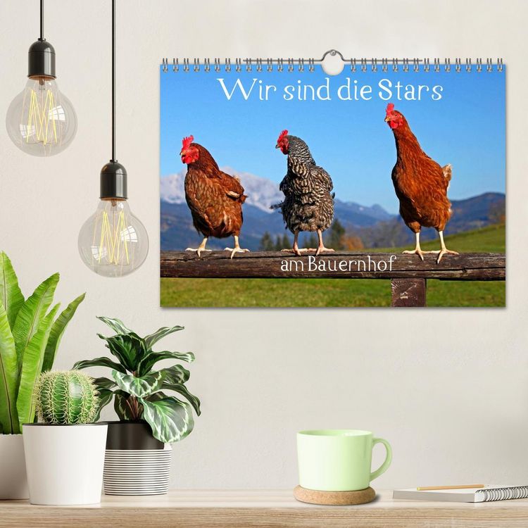 Produktbild: Wir sind die Stars am Bauernhof (Wandkalender 2026 DIN A4 quer), CALVENDO Monatskalender
