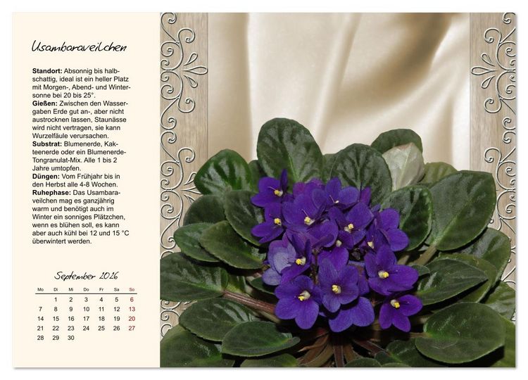 Produktbild: Bl&uuml;tenpracht am Fenster (Wandkalender 2026 DIN A3 quer), CALVENDO Monatskalender