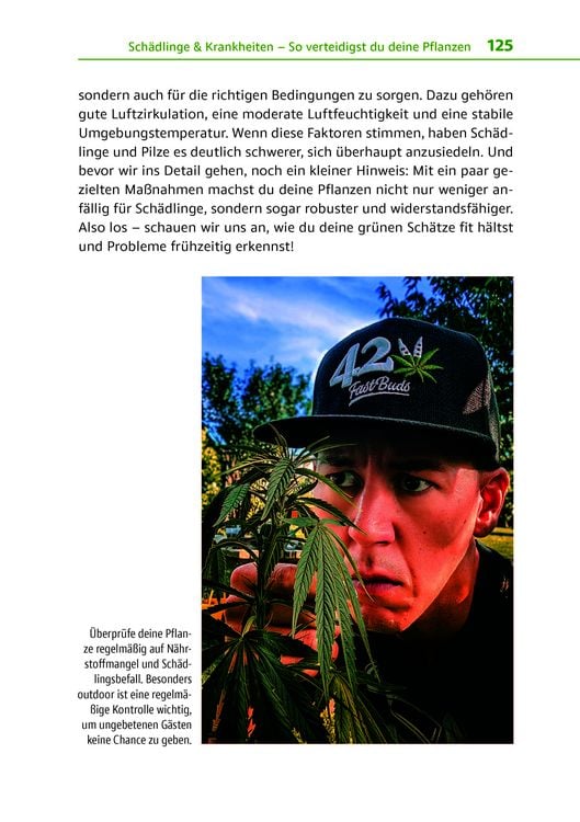 Produktbild: Cannabis zu Hause anbauen f&uuml;r Anf&auml;nger