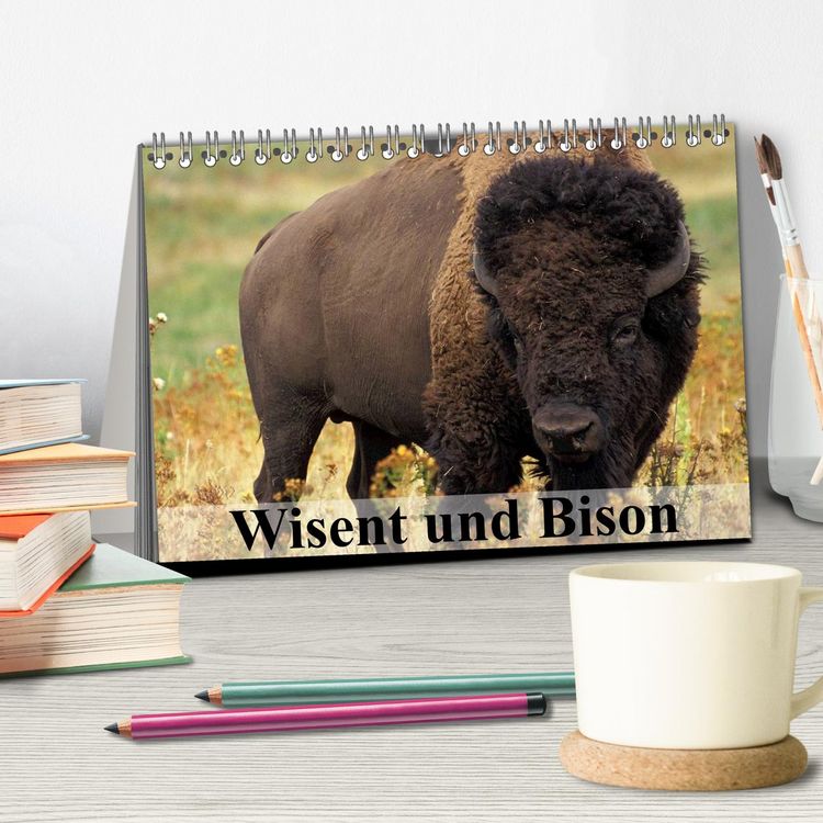 Produktbild: Wisent und Bison (Tischkalender 2026 DIN A5 quer), CALVENDO Monatskalender