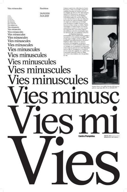 Produktbild: Vies Minuscules Journal - Illustrations, Couleur