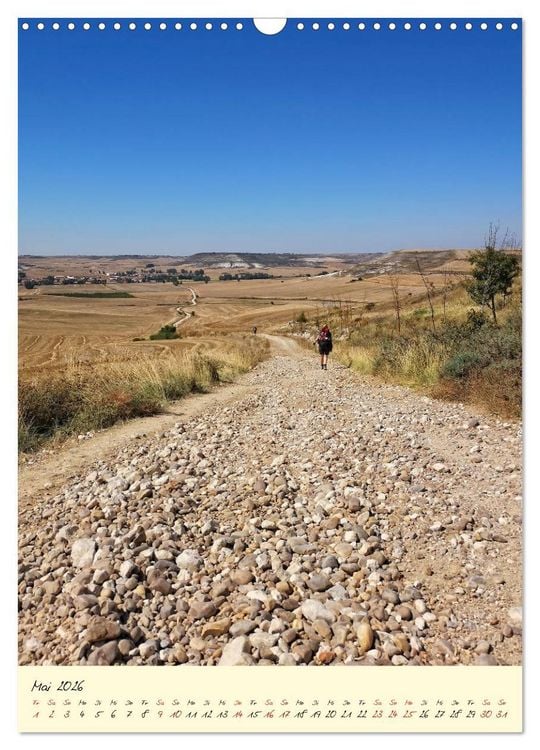 Produktbild: Buen Camino - Auf dem Jakobsweg - Camino Franc&eacute;s (Wandkalender 2026 DIN A3 hoch), CALVENDO Monatskalender
