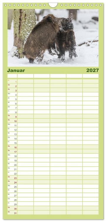 Produktbild: Familienplaner 2027 - Emotionale Momente: Wild und Jagd. mit 5 Spalten (Wandkalender, 21 x 45 cm) CALVENDO