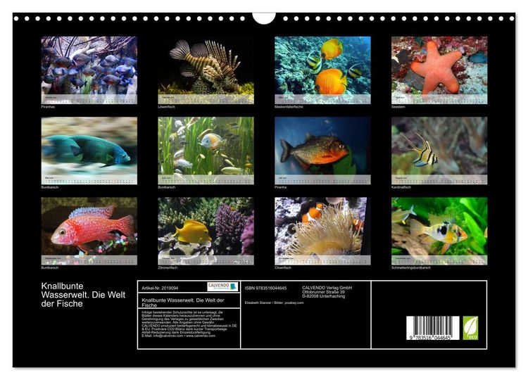Produktbild: Knallbunte Wasserwelt. Die Welt der Fische (Wandkalender 2026 DIN A3 quer), CALVENDO Monatskalender