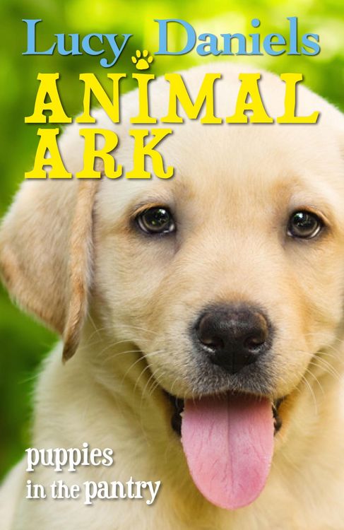 Produktbild: Animal Ark: Puppies in the Pantry