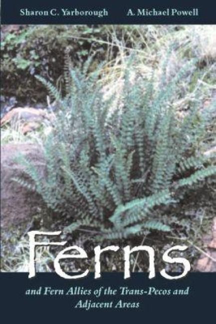 Produktbild: Ferns and Fern Allies of the Trans-Pecos and Adjacent Areas