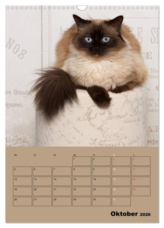 Produktbild: Ragdolls zum Verlieben (Wandkalender 2026 DIN A3 hoch), CALVENDO Monatskalender
