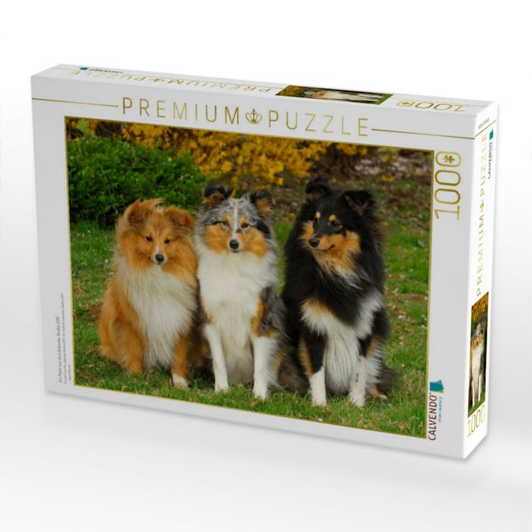 Produktbild: CALVENDO Puzzle Ein Motiv aus dem Kalender Sheltie 2017 | 1000 Teile Lege-Gr&ouml;&szlig;e 64x48cm Foto-Puzzle f&uuml;r gl&uuml;ckliche Stunden