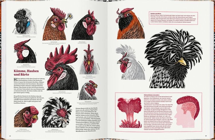 Produktbild: Das gro&szlig;e Buch der H&uuml;hner