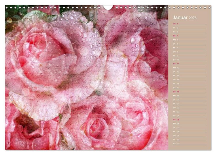 Produktbild: Romantische Rosen (Wandkalender 2026 DIN A3 quer), CALVENDO Monatskalender