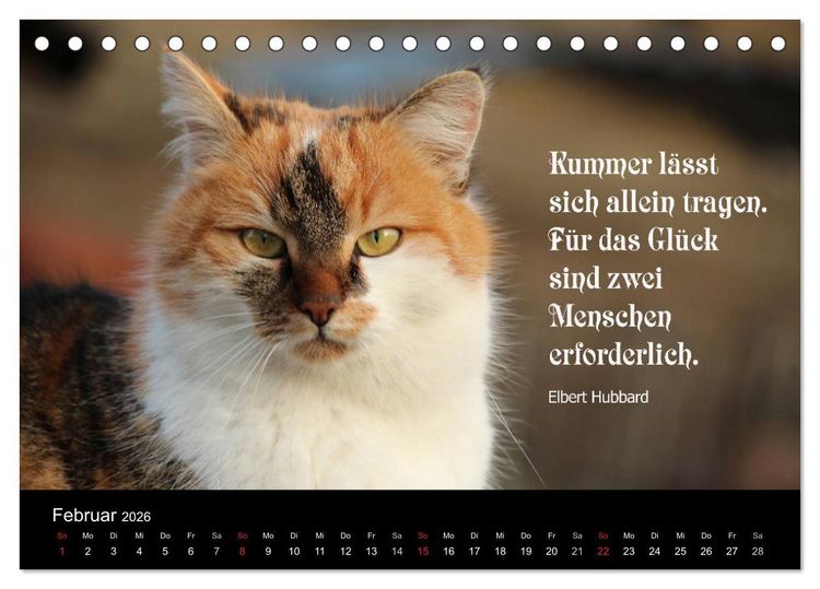 Produktbild: Gl&uuml;ckskatze - Mit Zitaten zum Thema Gl&uuml;ck (Tischkalender 2026 DIN A5 quer), CALVENDO Monatskalender