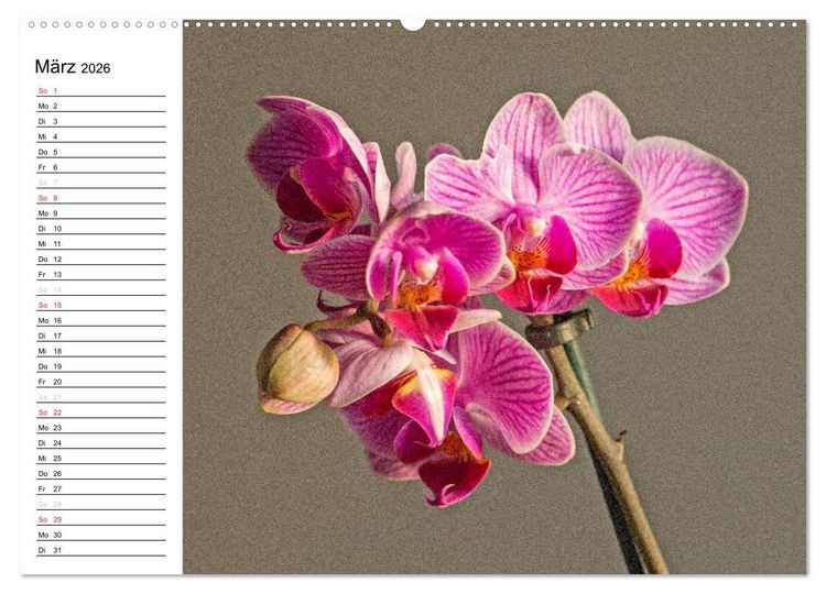 Produktbild: Bl&uuml;tenzauber Orchideen (hochwertiger Premium Wandkalender 2026 DIN A2 quer), Kunstdruck in Hochglanz