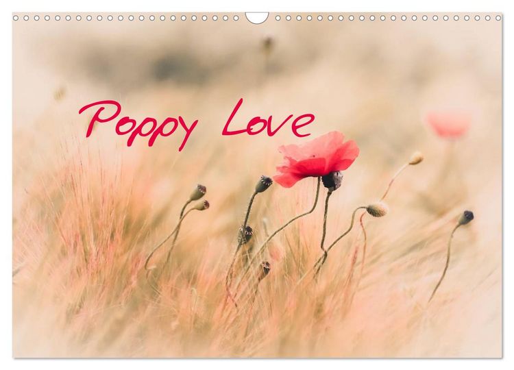 Produktbild: Poppy Love (Wall Calendar 2026 DIN A3 landscape), CALVENDO 12 Month Wall Calendar
