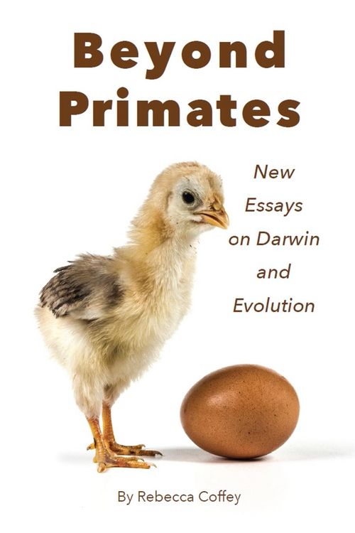 Produktbild: Beyond Primates