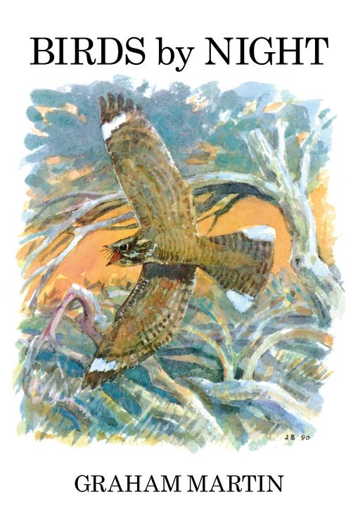 Produktbild: Birds by Night