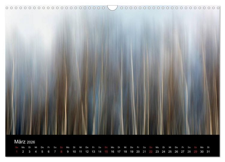 Produktbild: Baumportr&auml;ts 2026 (Wandkalender 2026 DIN A3 quer), CALVENDO Monatskalender